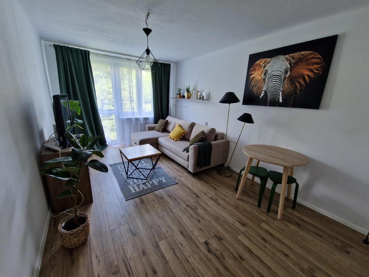 Sienkiewicza Apartament Multi House Rzeszow Exterior photo